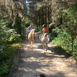 Paluso Guest Ranch