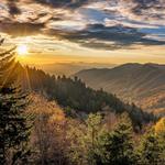 Cherokee National Forest