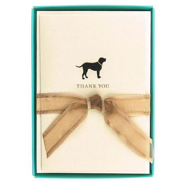 Graphique La Petite Presse Boxed Blank Thank You Cards - Black Lab with Gold Foil - Perfect Thank Yous for Gifts, Weddings, Bridal Showers, and More - Pack of 10 Cards with Envelopes (3.25 x 4.75)