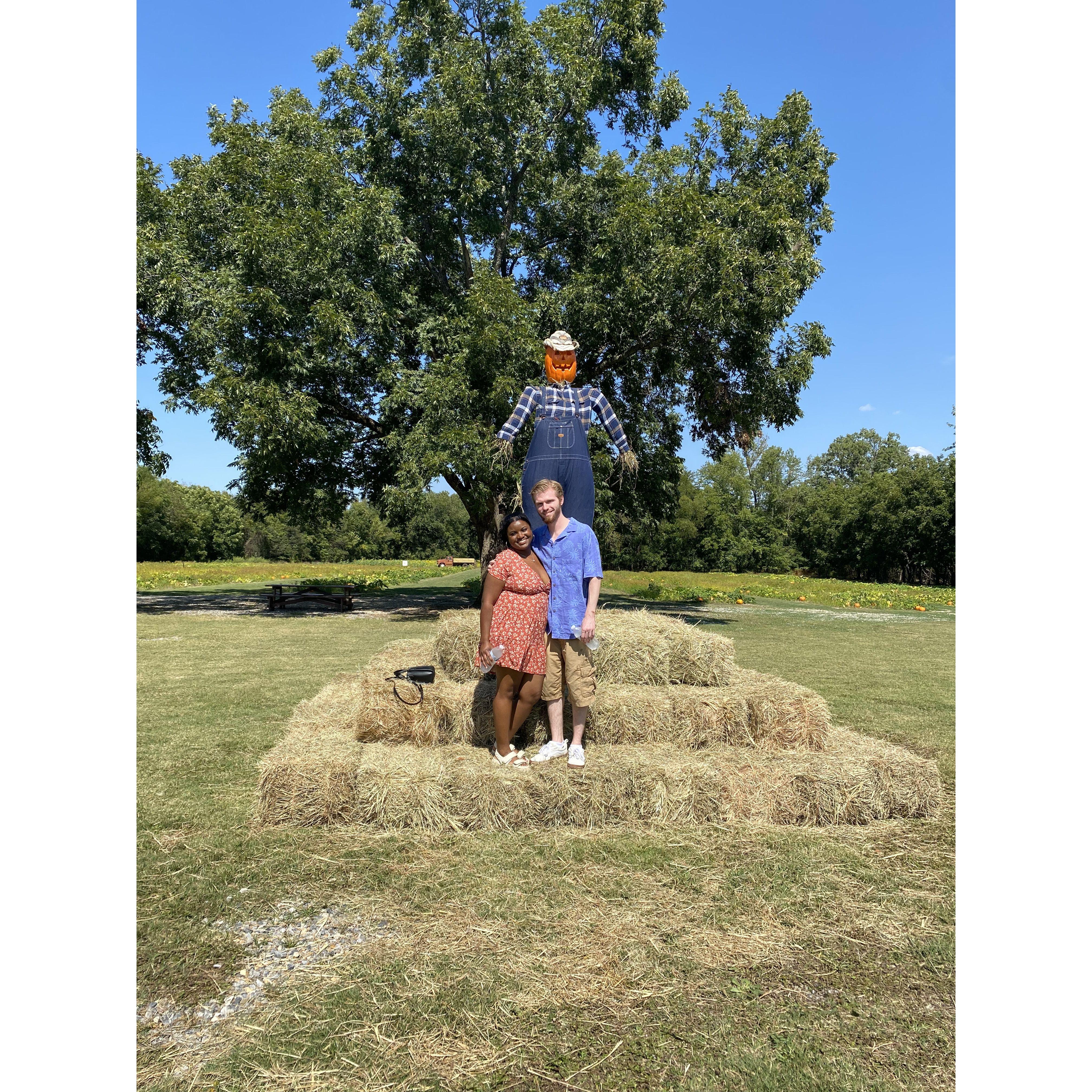 Pumpkin patch