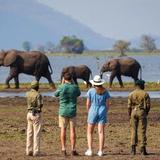 Liwonde National Park