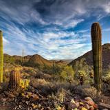 McDowell Sonoran Preserve
