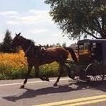 Abe's Buggy Rides