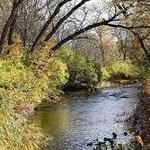 Paint Creek Trail