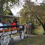 Wilsonville Fall Harvest Festival