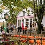 Billie Creek Village