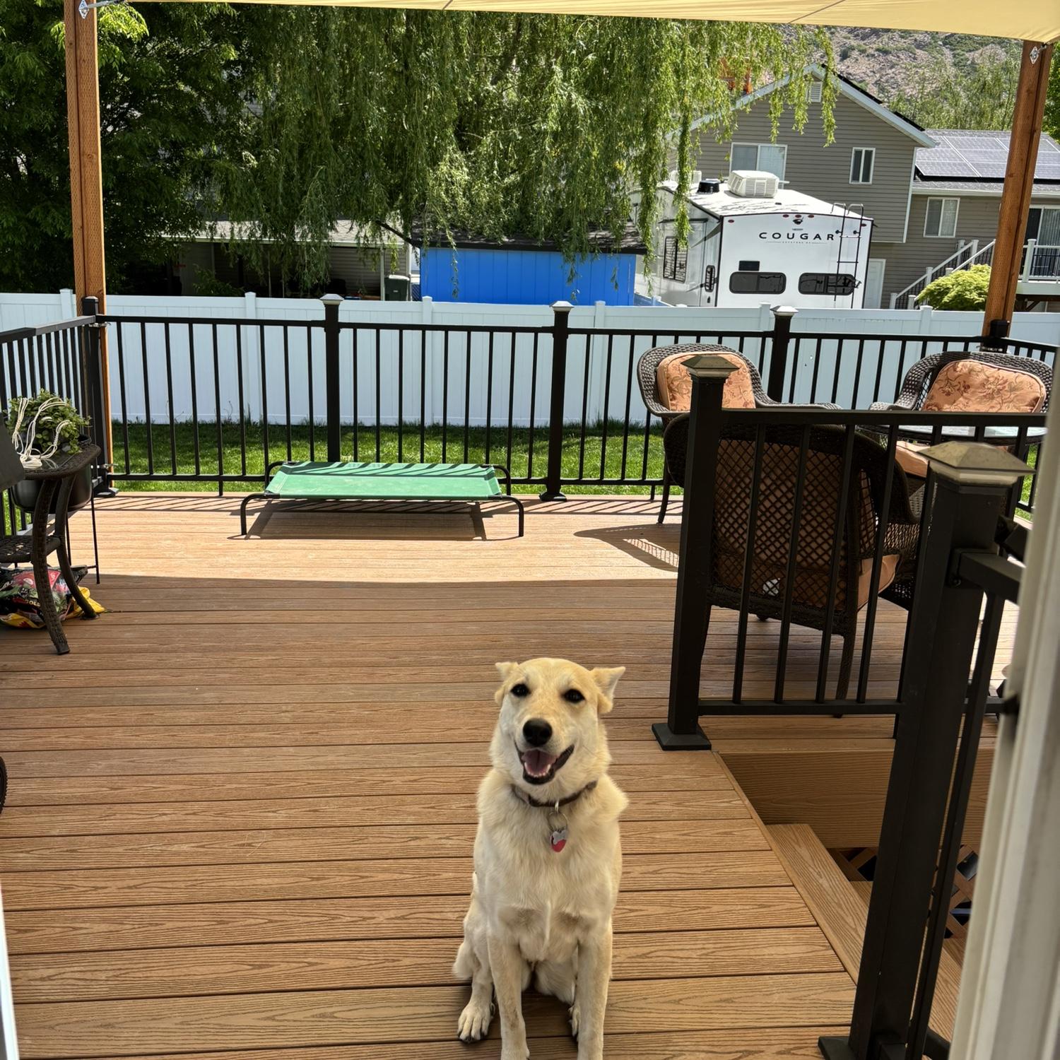 Enjoying the deck we built :)