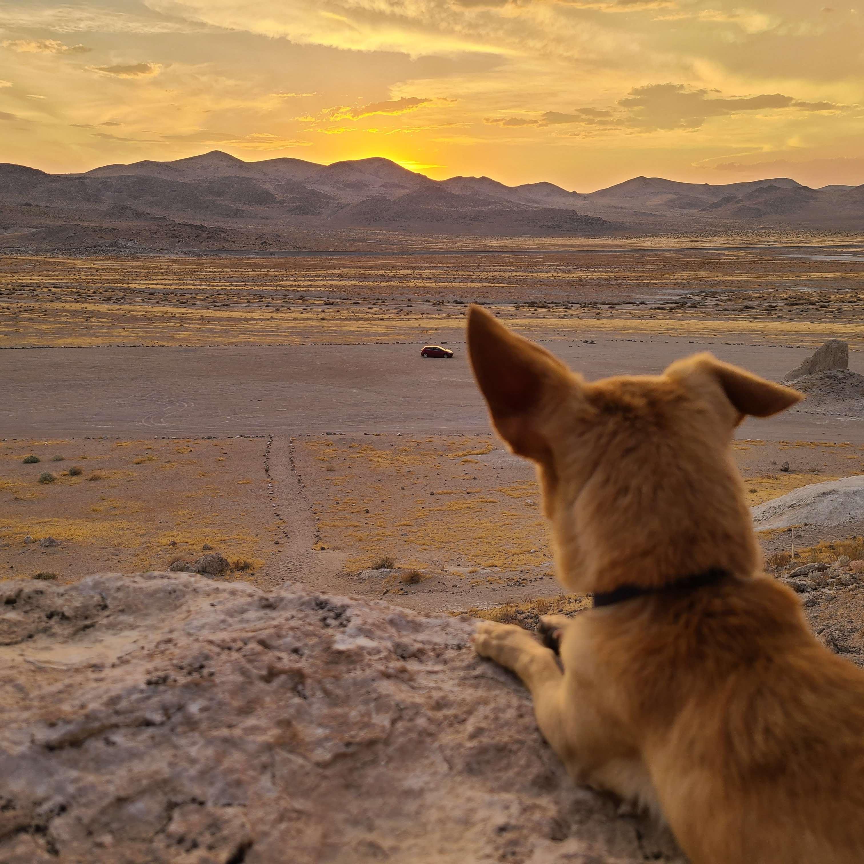 Trona Pinnacles