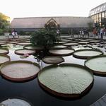 Longwood Gardens