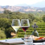Wine Tasting
