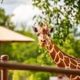 Tulsa Zoo