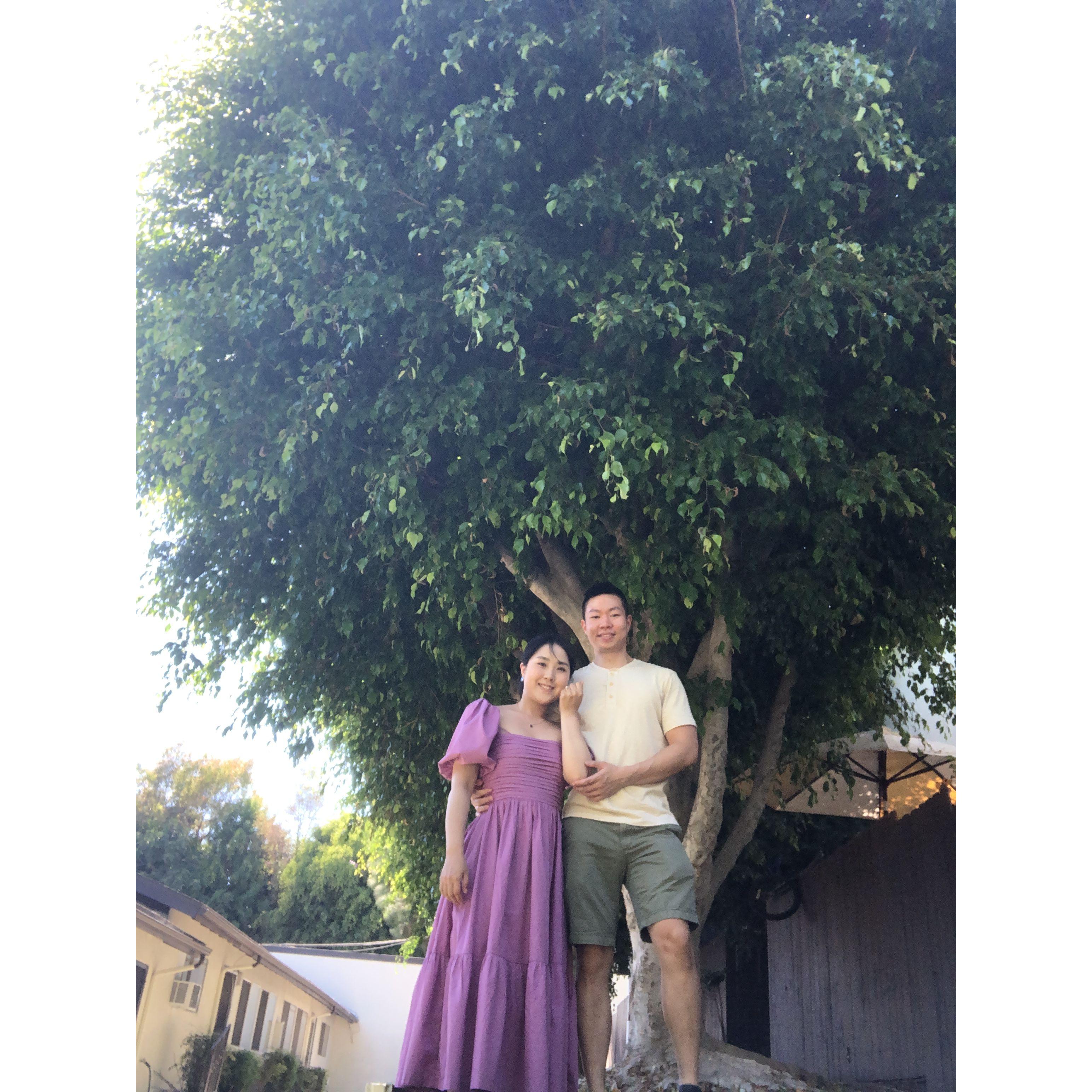 August 2024 - ENGAGED before a special tree and place