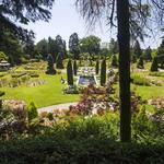 Rose Garden
