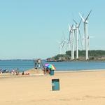 Woodlawn Beach State Park