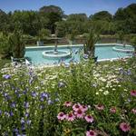 Planting Fields Arboretum