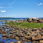 Odiorne Point State Park