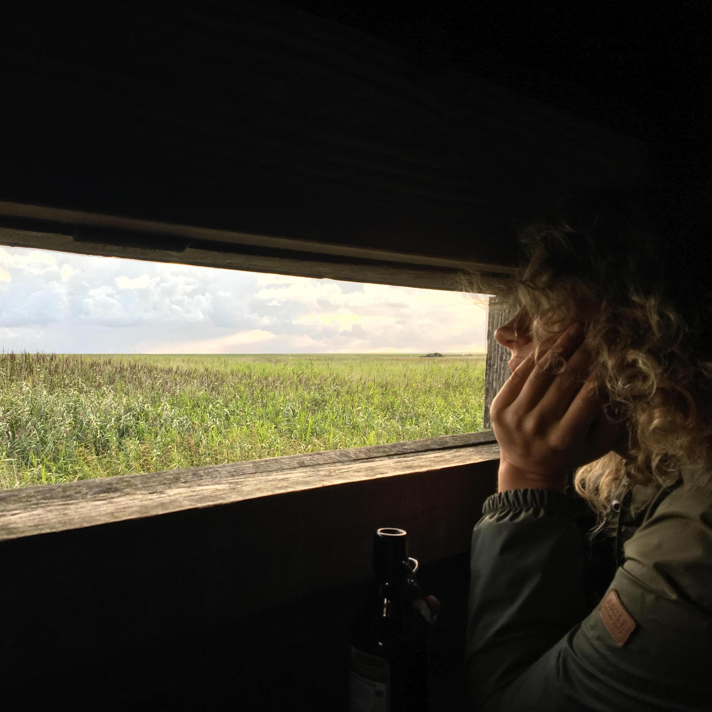 Birdwatching Hut, Rodenäs, Northern Germany
