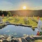 Aquila's Nest Vineyards