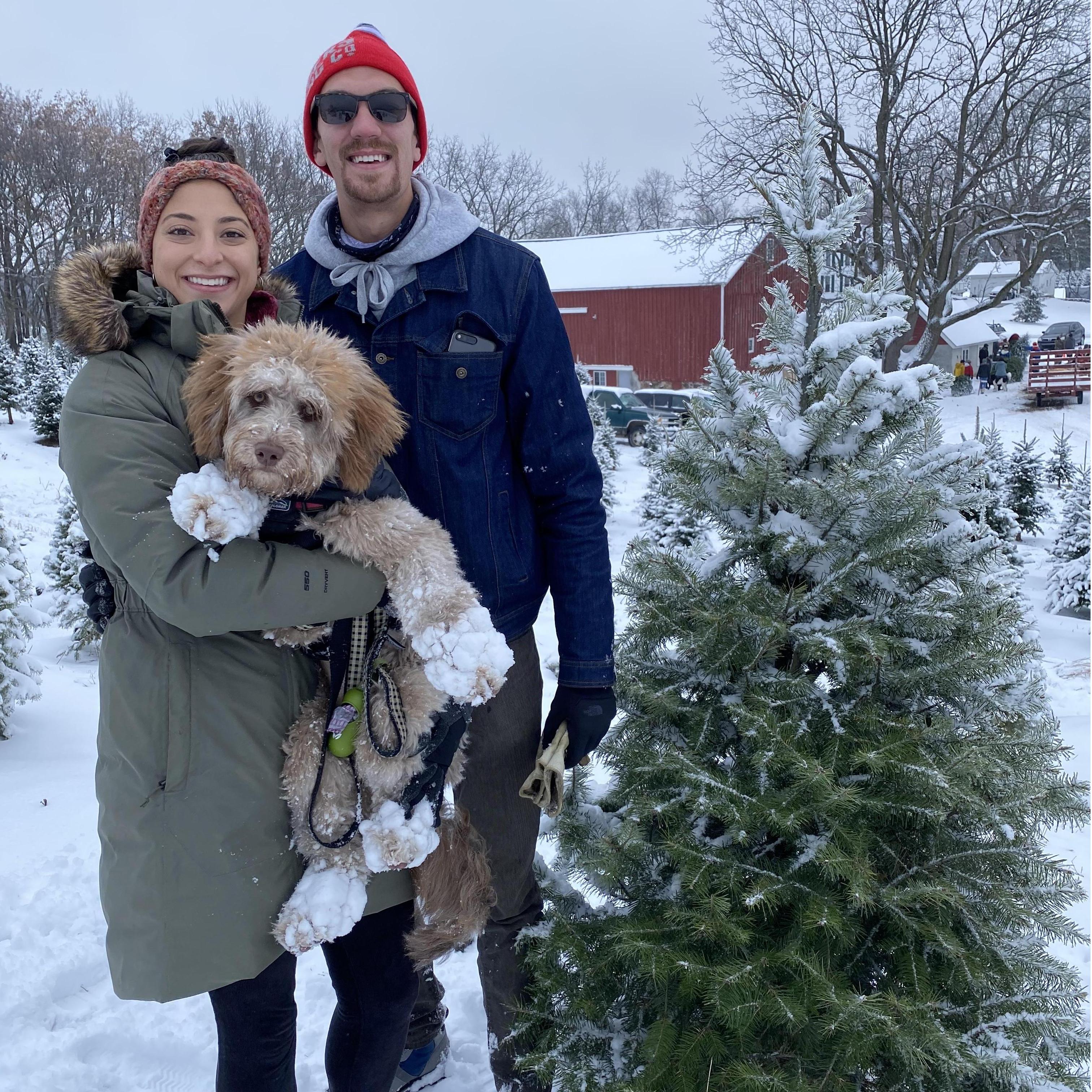 Our first Christmas Tree!