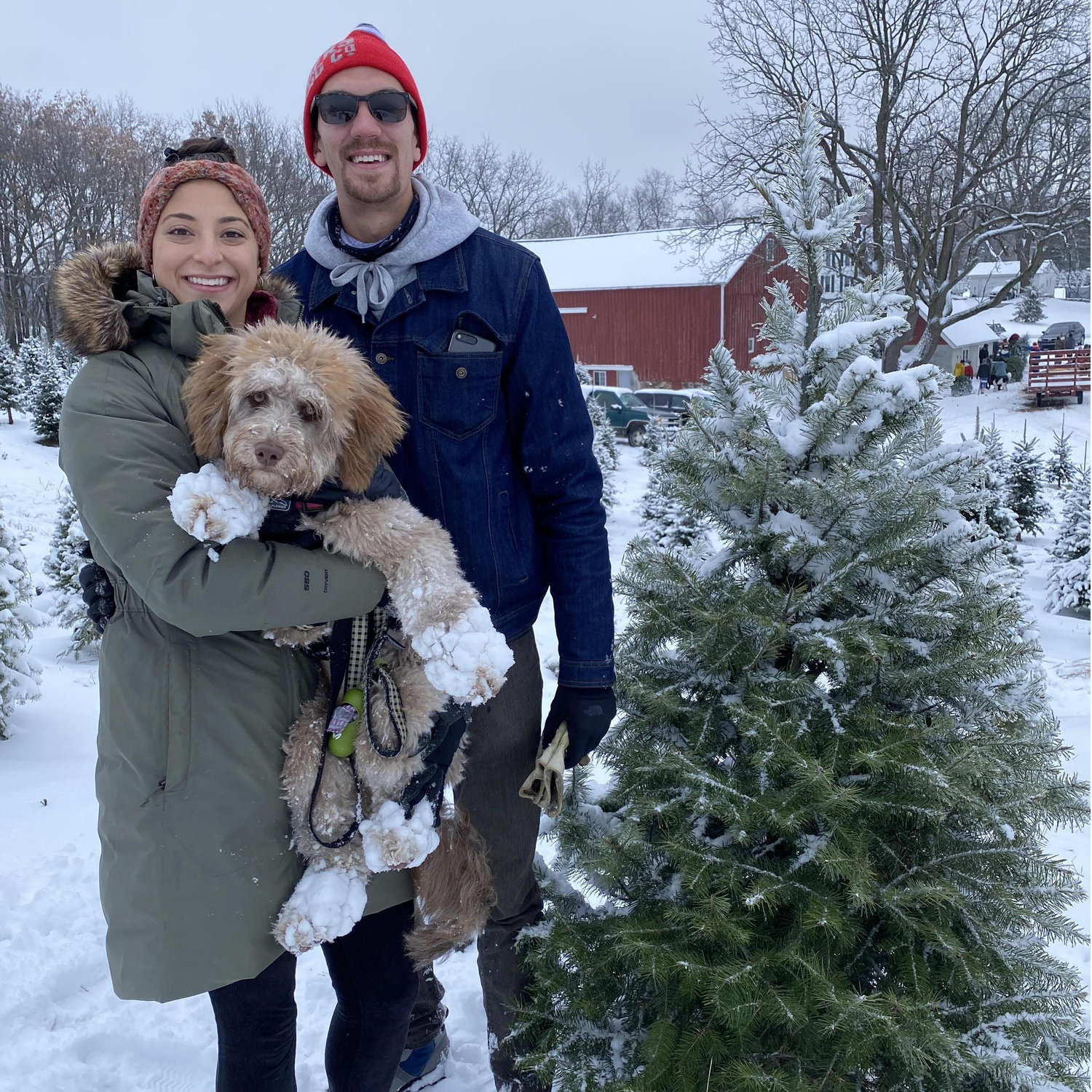 Our first Christmas Tree!