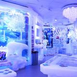 minus5 Icebar