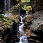 Watkins Glen State Park