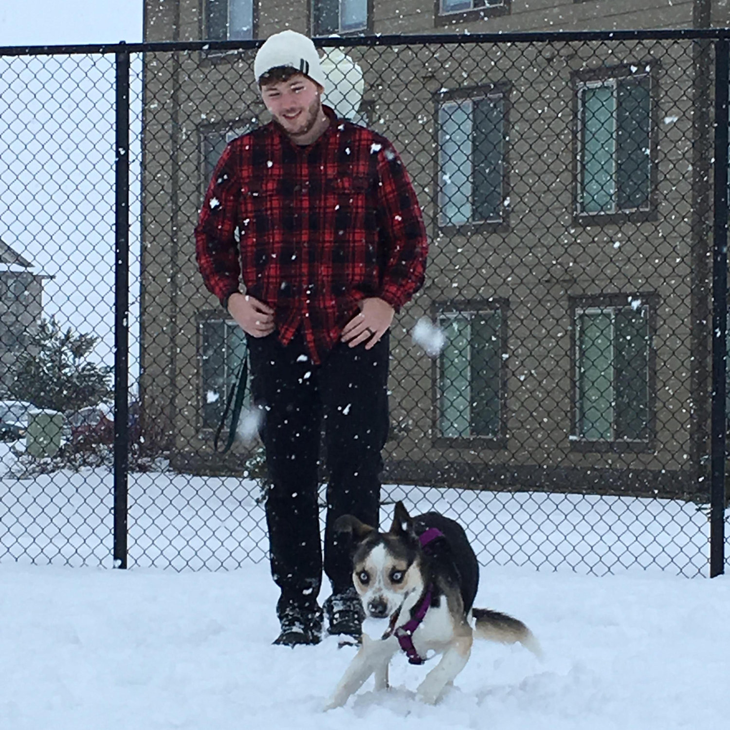 Our first winter with Fenris.