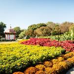 The Dallas Arboretum and Botanical Garden