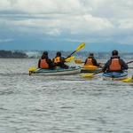 Kayaking