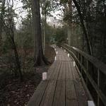 Houston Arboretum & Nature Center