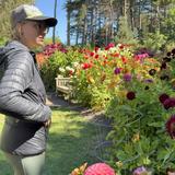 Mendocino Coast Botanical Gardens