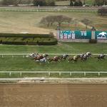 Keeneland Horse Racing