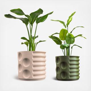 Elvin 2-Piece 3D Printed Planter Set