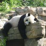 Smithsonian National Zoological Park