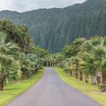 Hoʻomaluhia Botanical Garden
