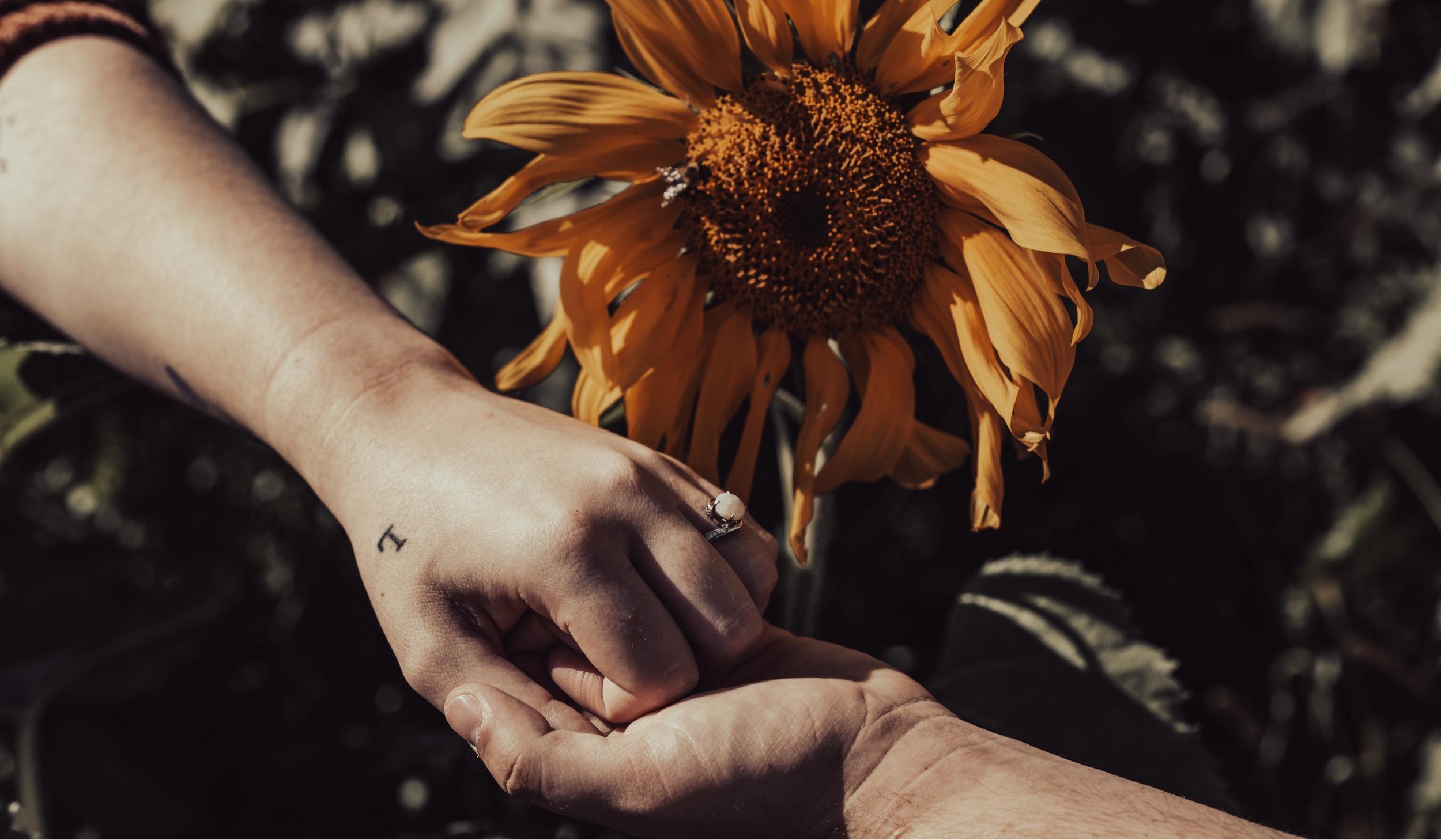 The Wedding Website of Madelyn Rae and Finnegan James