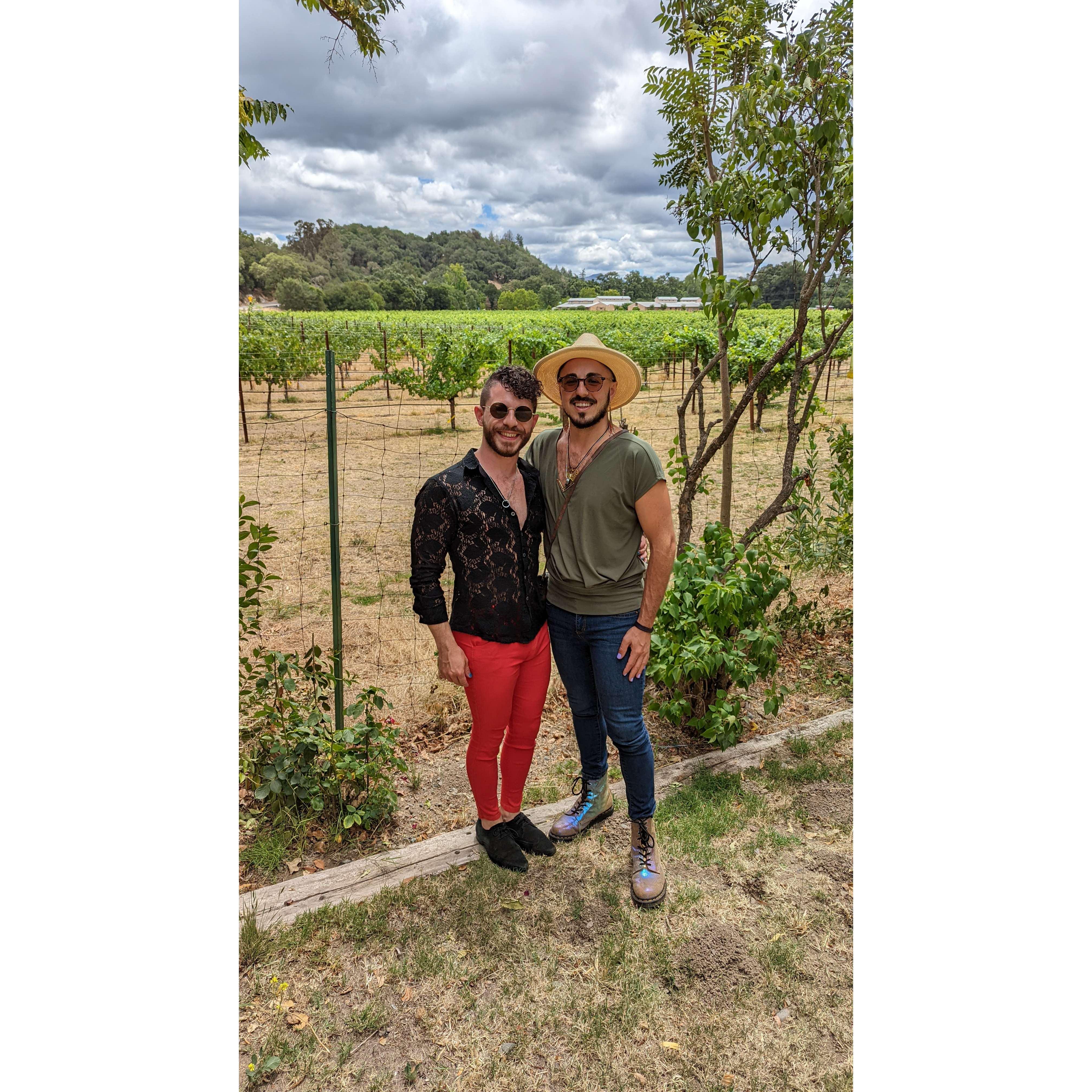 Napa Valley - July 2022