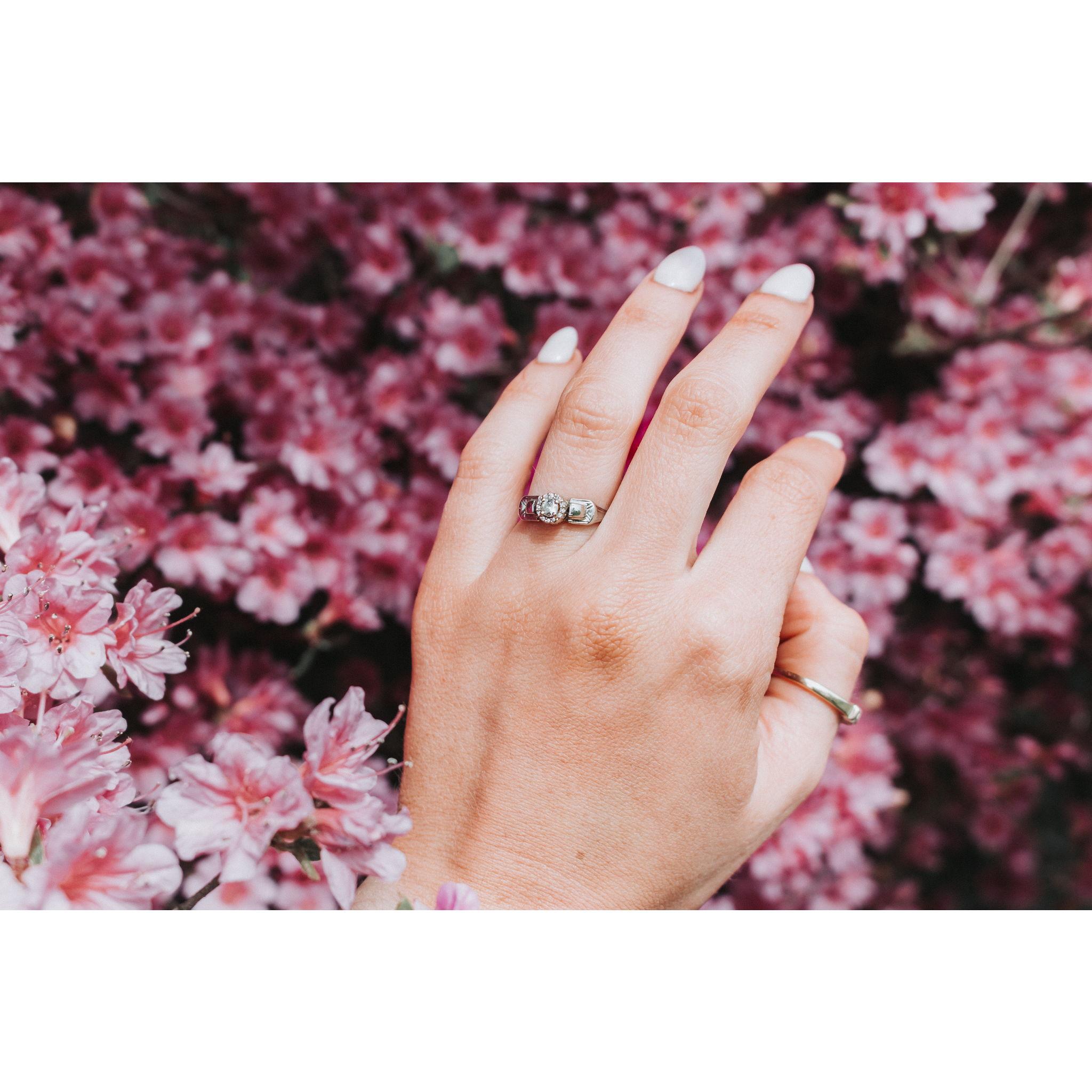 The Ring! This is a family heirloom from Alex's side that we had reset and resized.