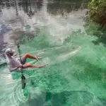 Glass-Bottomed Kayak Tour