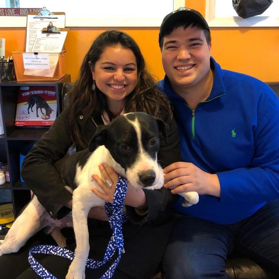 2018 - Leo's adoption day!