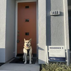 Our first home fund 🐾