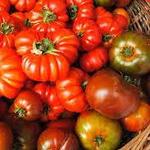 Sunapee Farmers Market
