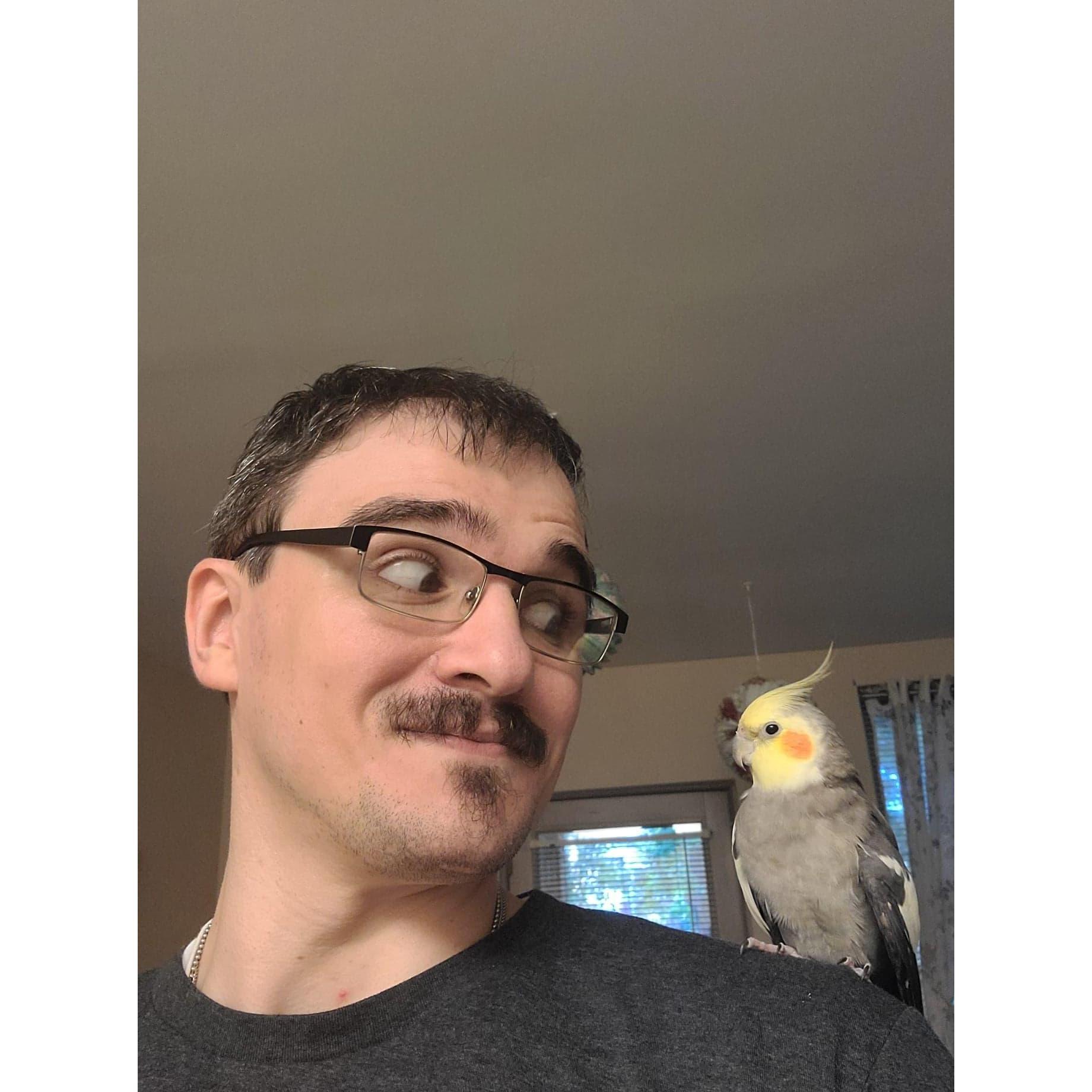 Fun with Marcus the cockatiel