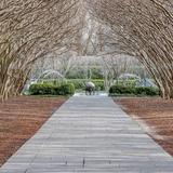 The Dallas Arboretum and Botanical Garden