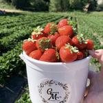 Granny May's Strawberry Farm