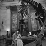 American Museum of Natural History