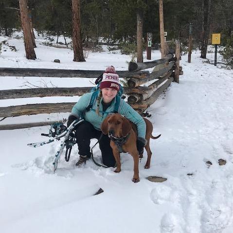 Snowshoe trip with the dogs