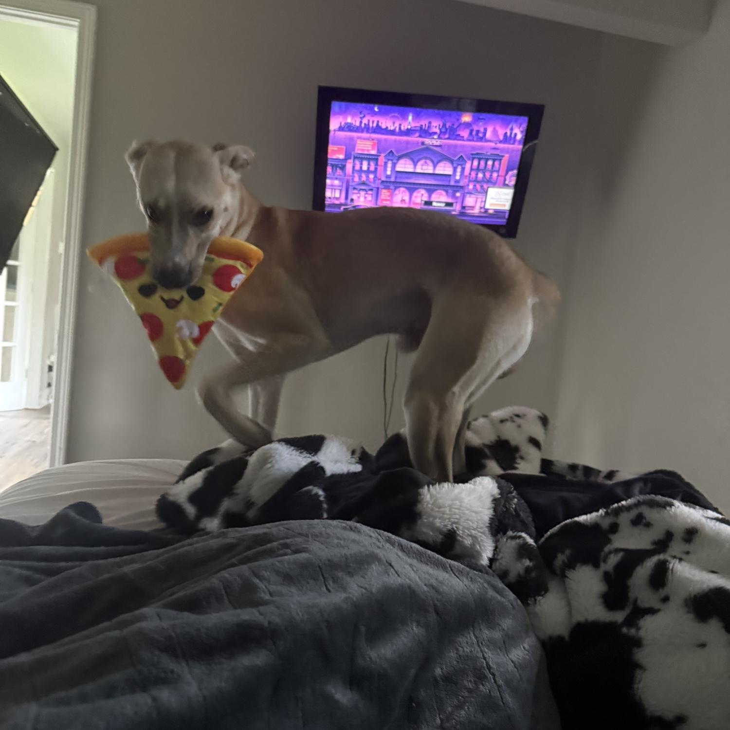our silly baby, just eaten his pizza