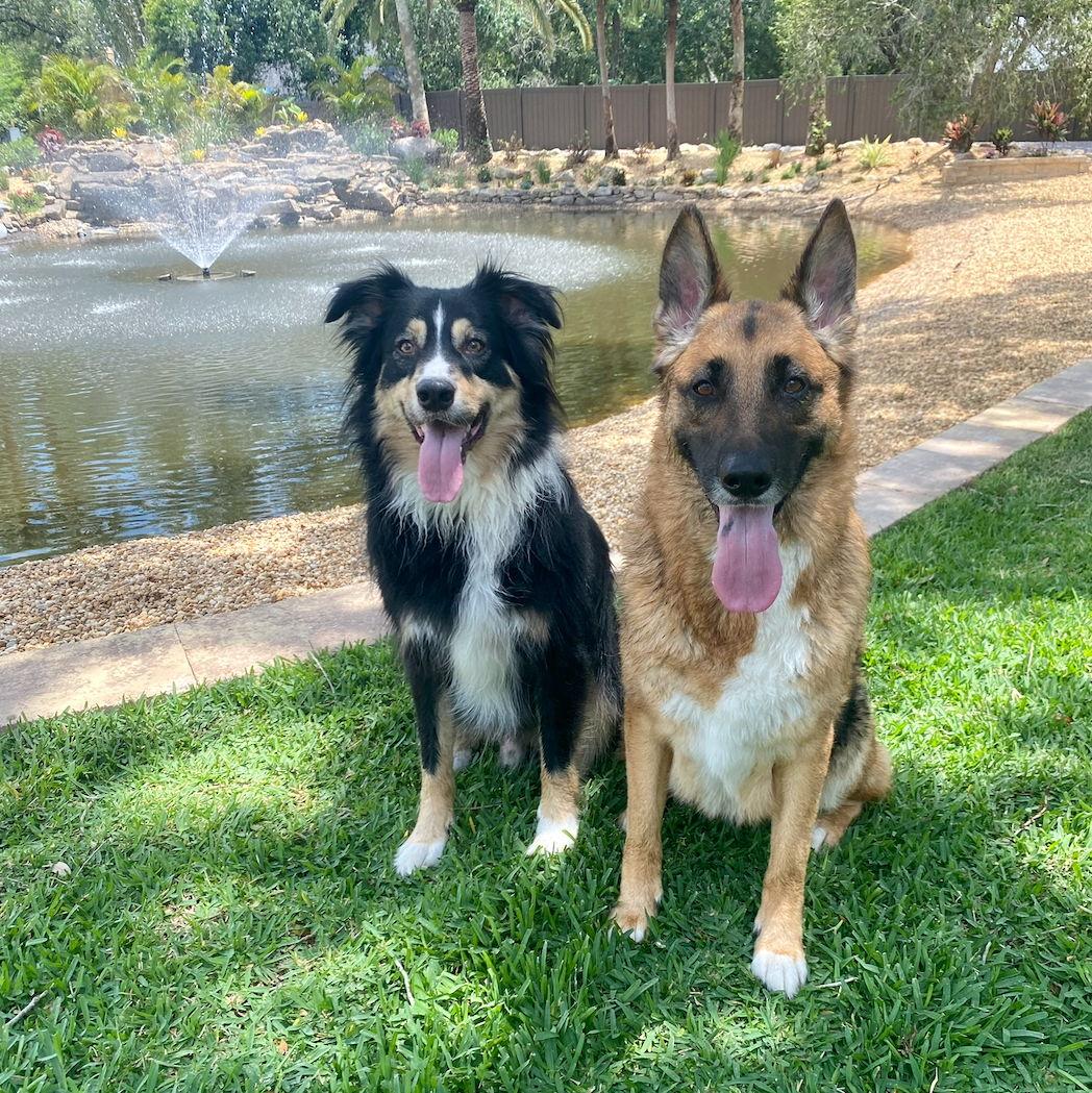 Roy & Lola 2022