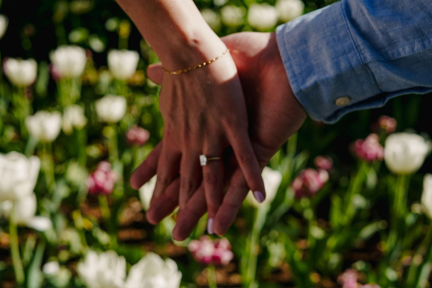 The Wedding Website of Elise Renschler and Daniel Brady